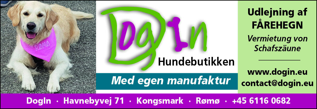 DogIn Hundebutikken
