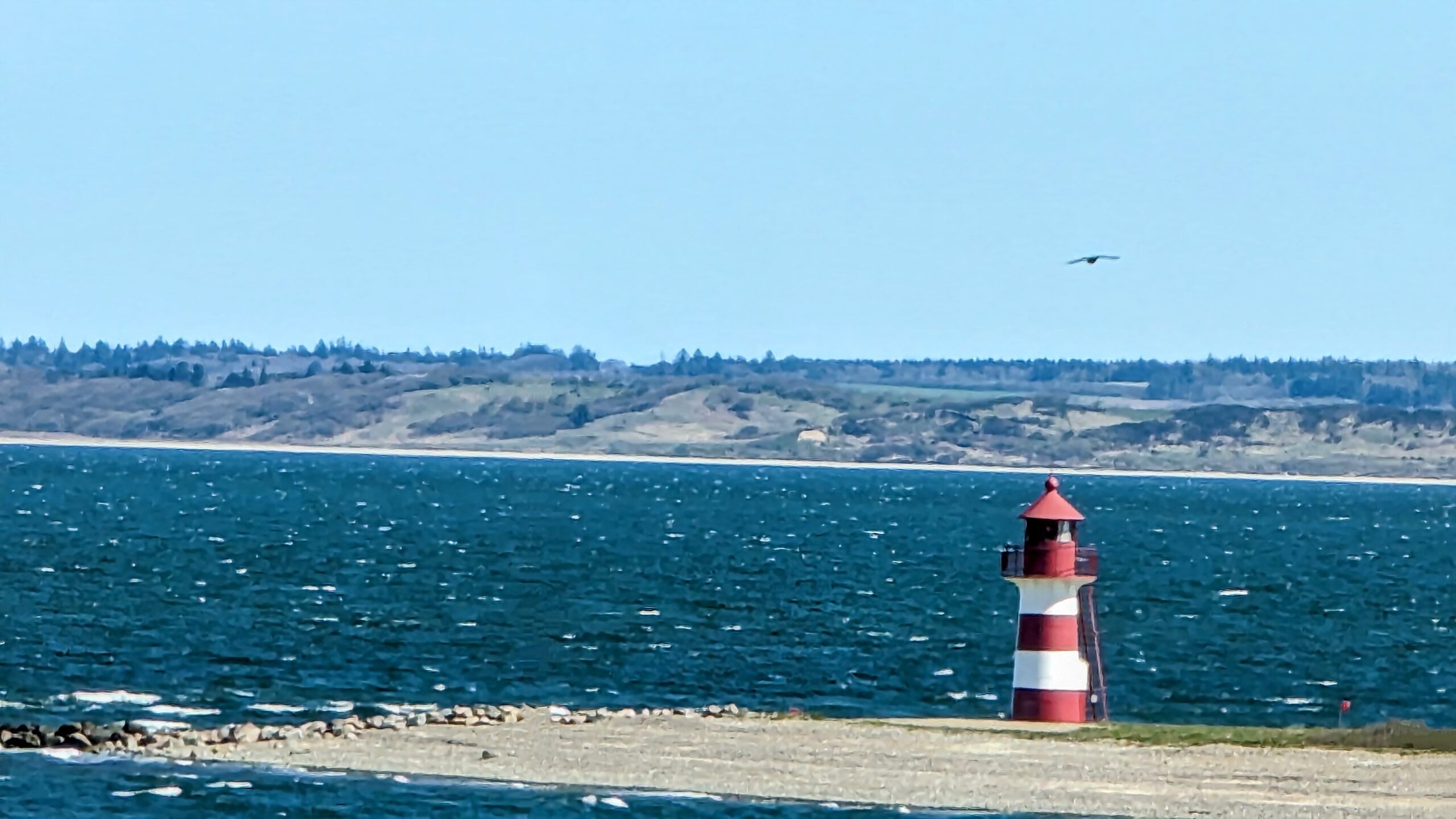 Ein rot-weißer Leuchtturm am Ufer eines Gewässers.