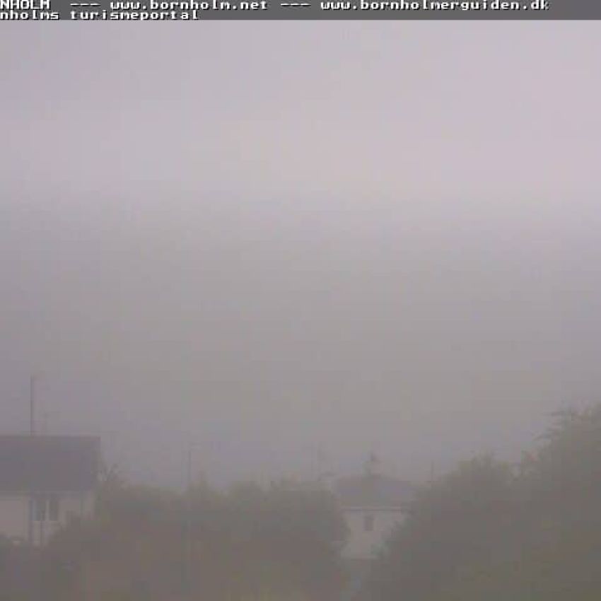 Webcam Bild