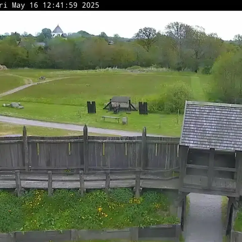 Webcam Bild