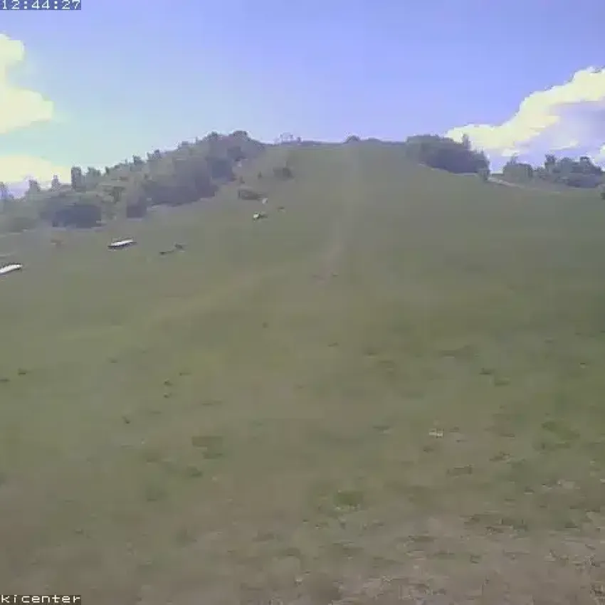 Webcam Bild