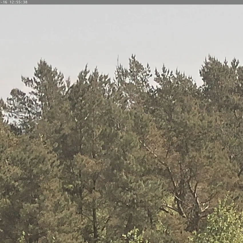 Webcam Bild