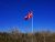 Eine dänische Flagge weht im Wind.