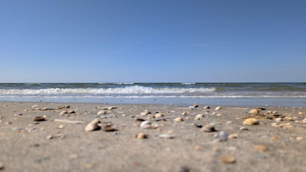 Beste Strände in Dänemark für Bernsteinsucher