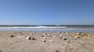 Beste Strände in Dänemark für Bernsteinsucher