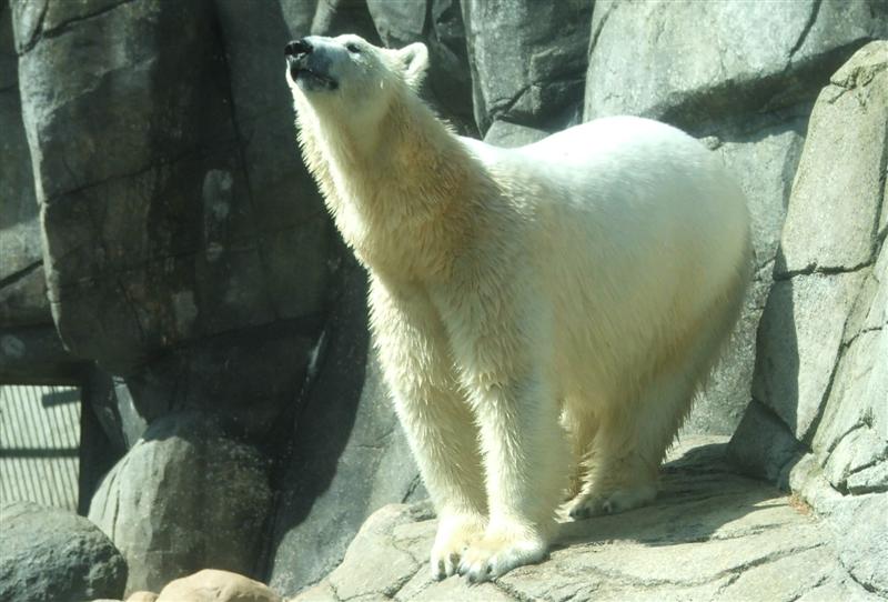 Bild 2 von Aalborg Zoo
