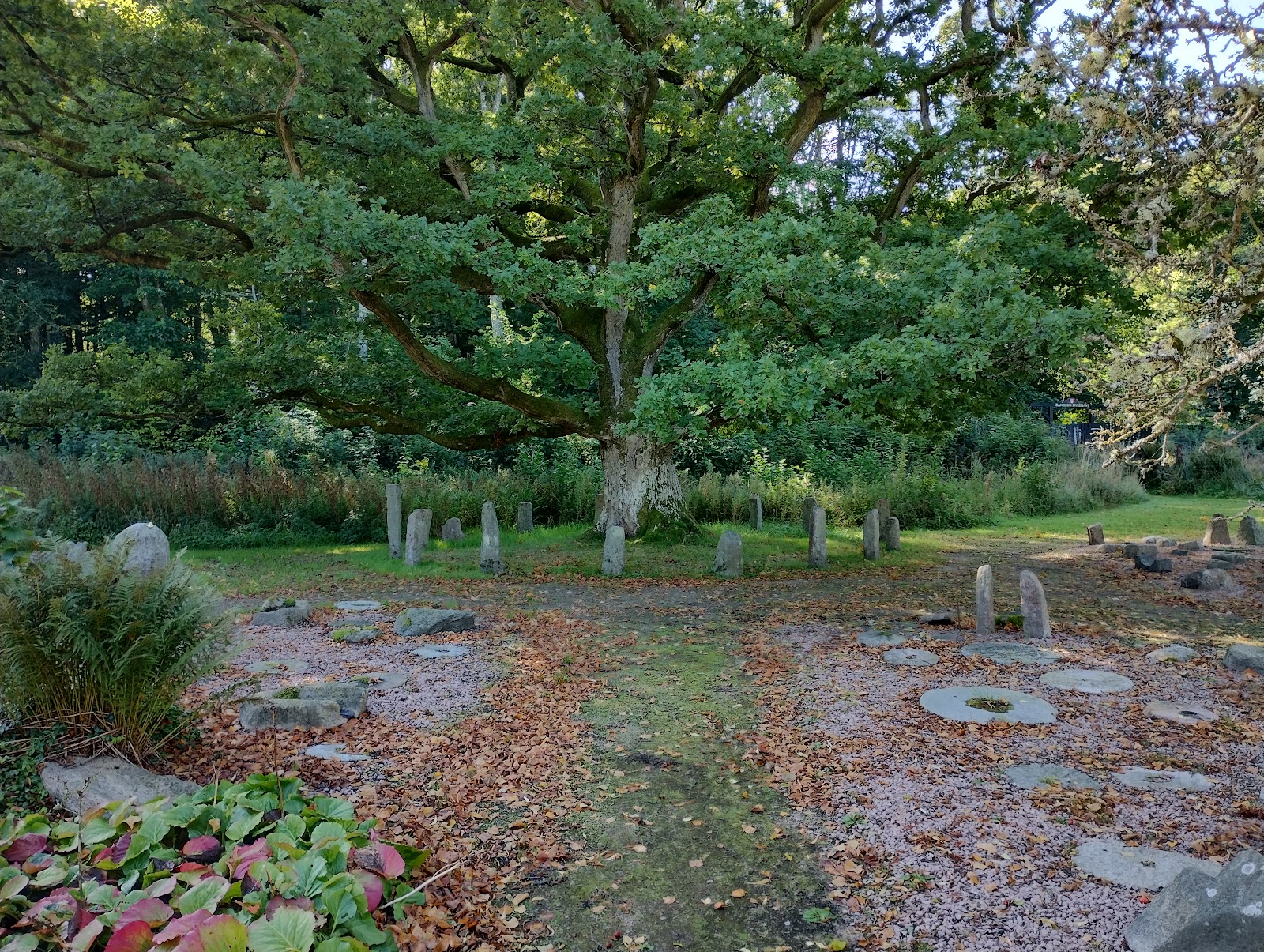 Bild 10 von Bangsbo Botanischer Garten