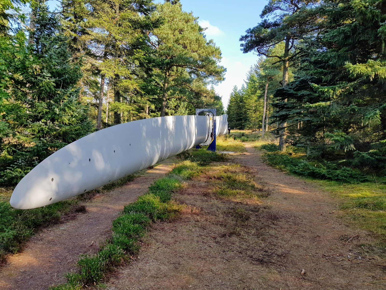 Bild 8 von Besuchscenter Østerild