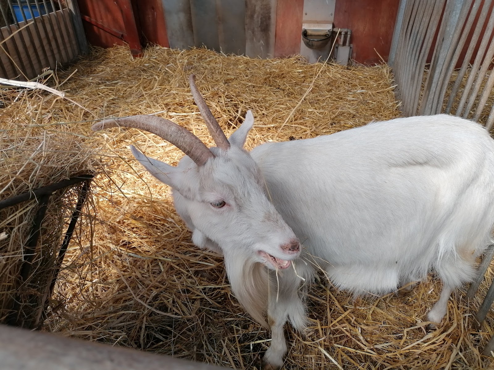 Bild 5 von Boldrup Museum