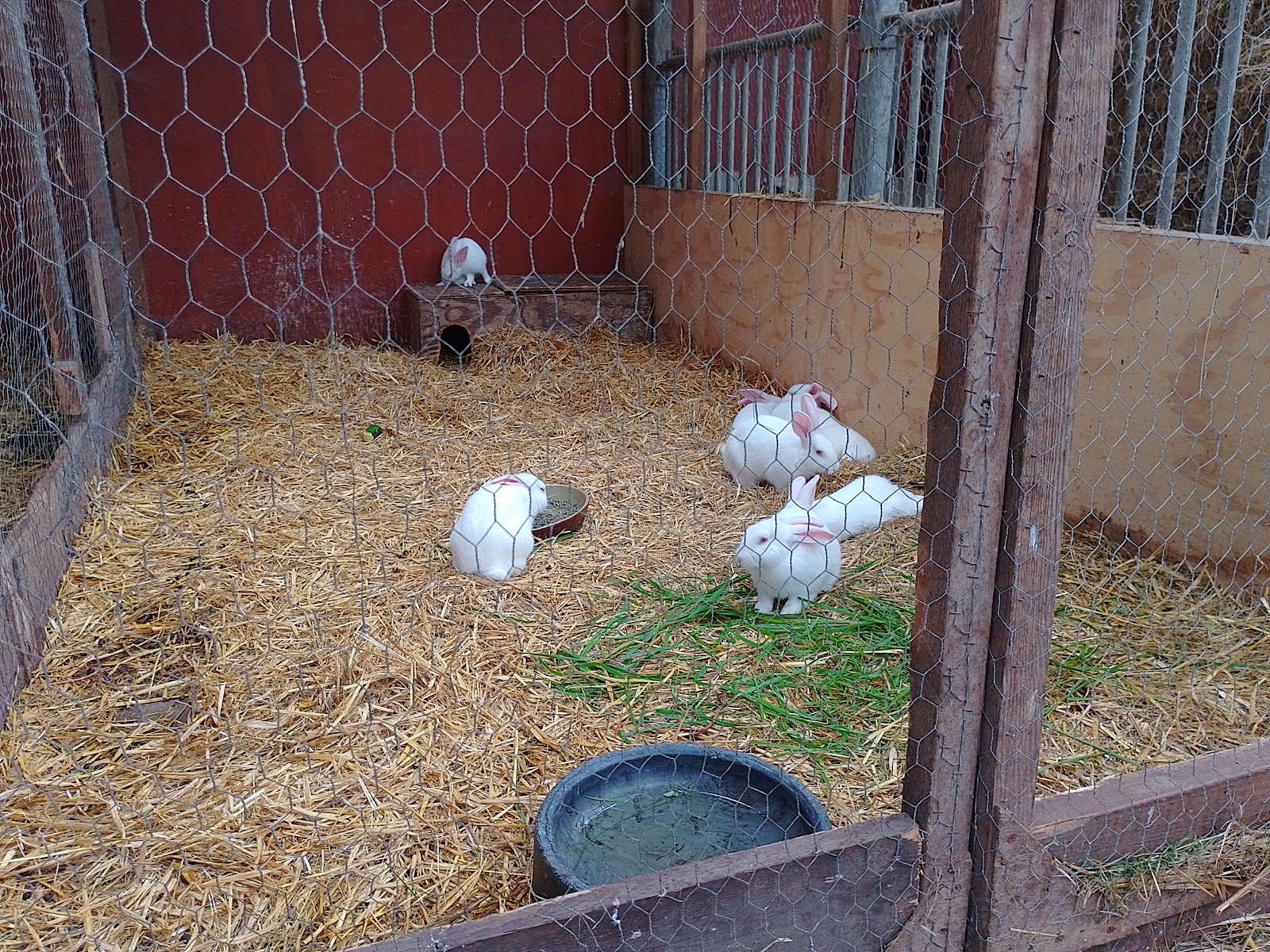 Bild 8 von Boldrup Museum