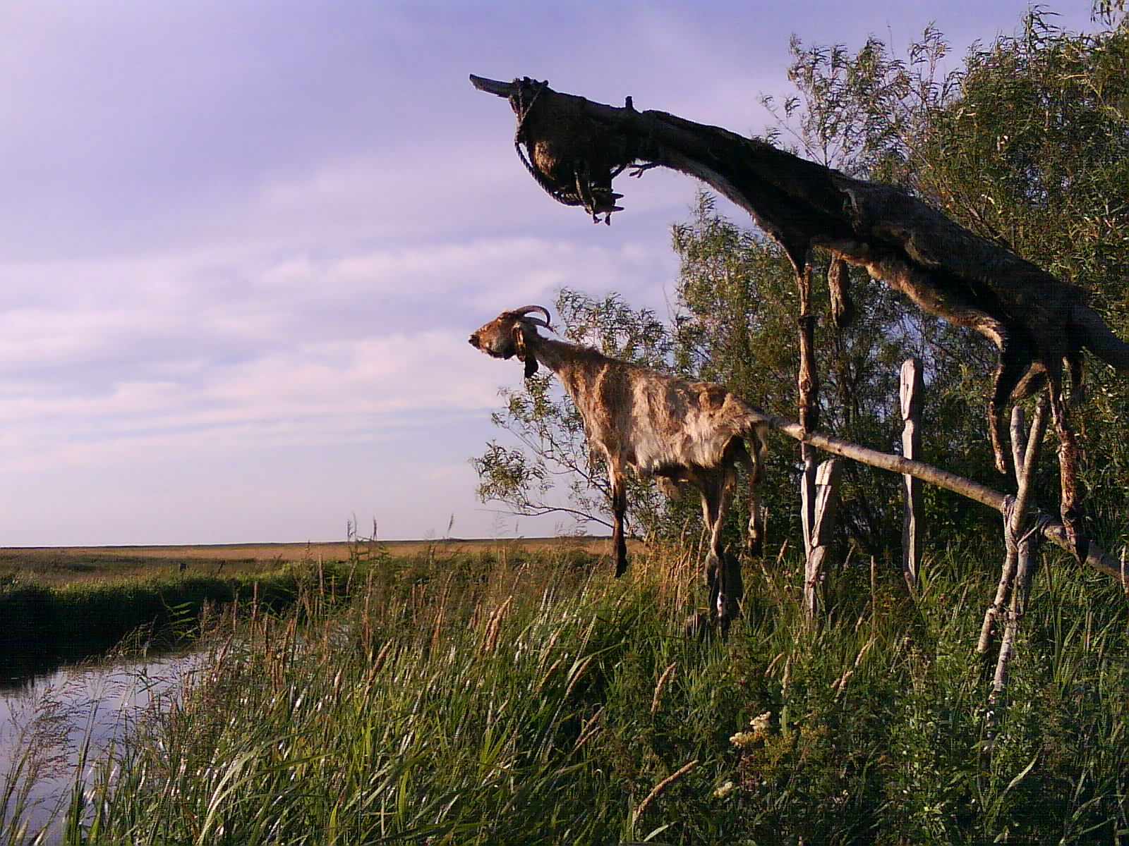 Bild 11 von Bork Vikingehavn