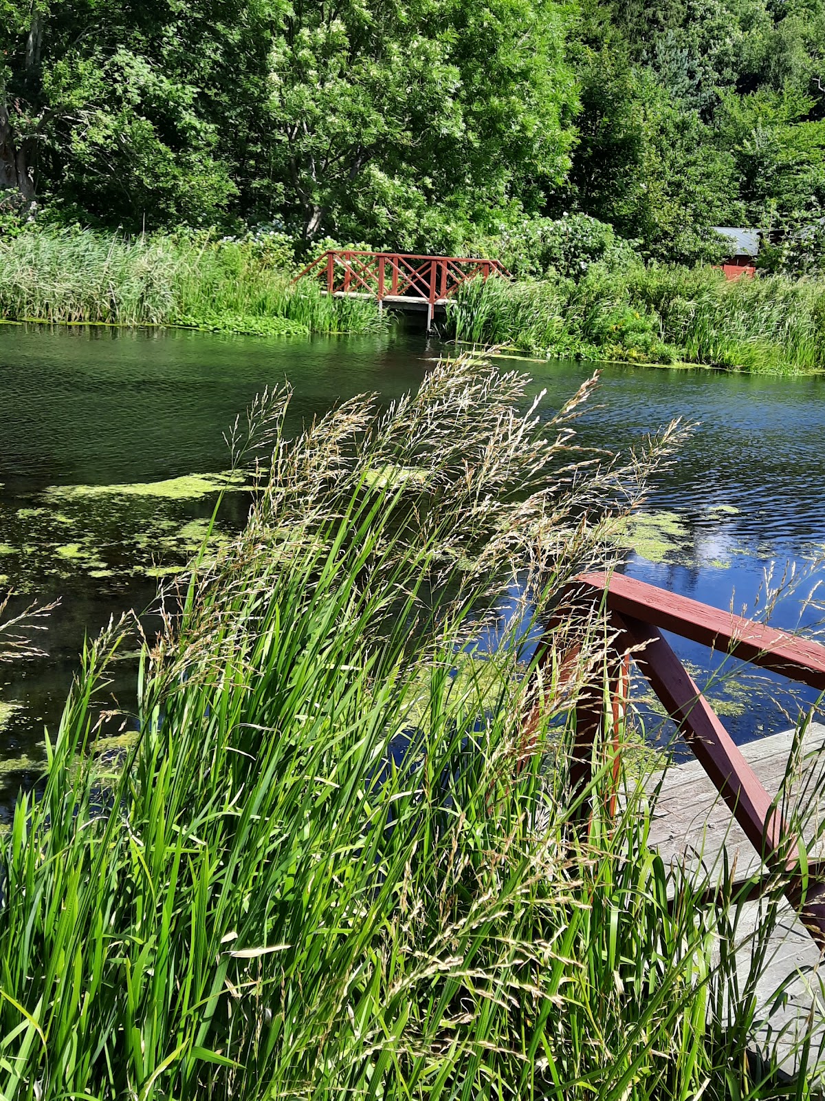 Bild 3 von Bruunshaab Gamle Papfabrik