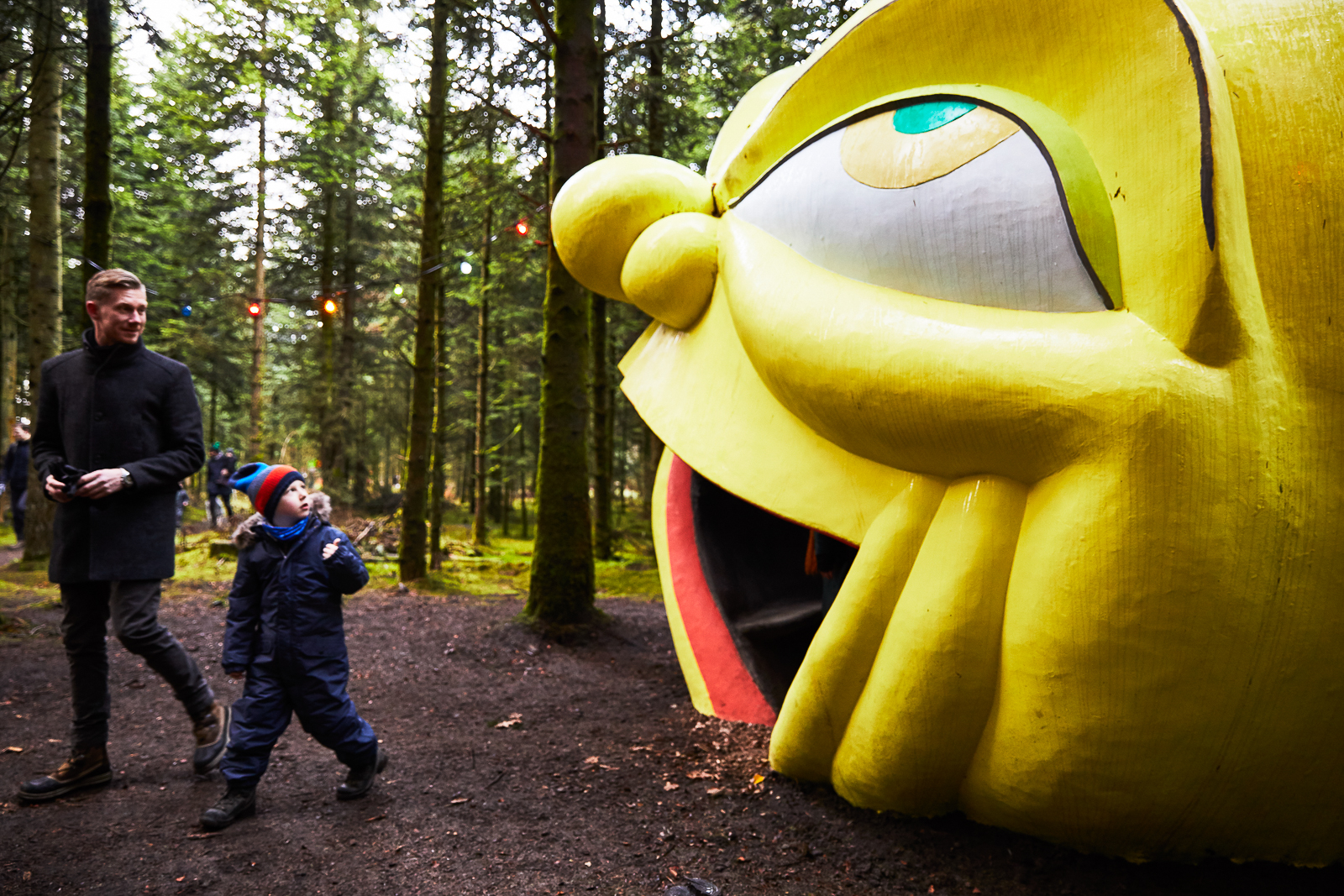 Deep Forest Art Land