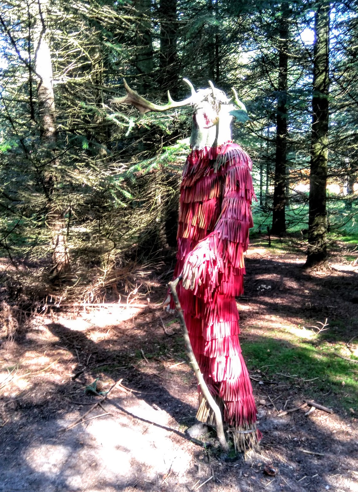 Bild 3 von Deep Forest Art Land