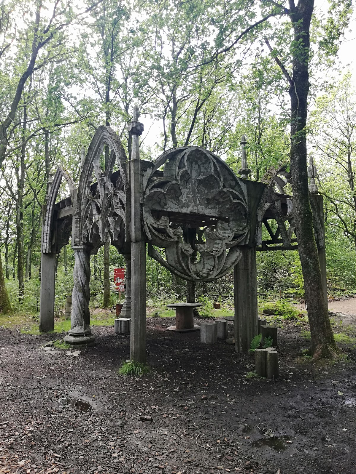 Bild 4 von Deep Forest Art Land