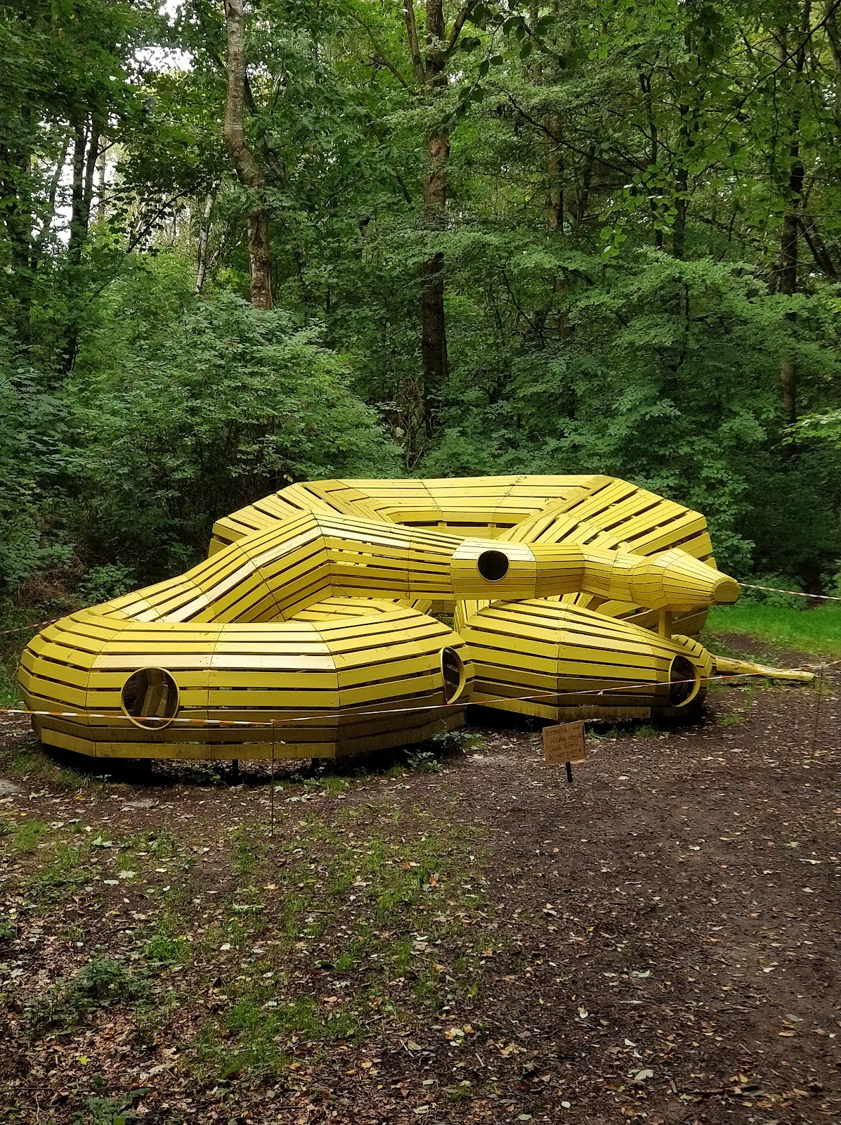 Bild 5 von Deep Forest Art Land