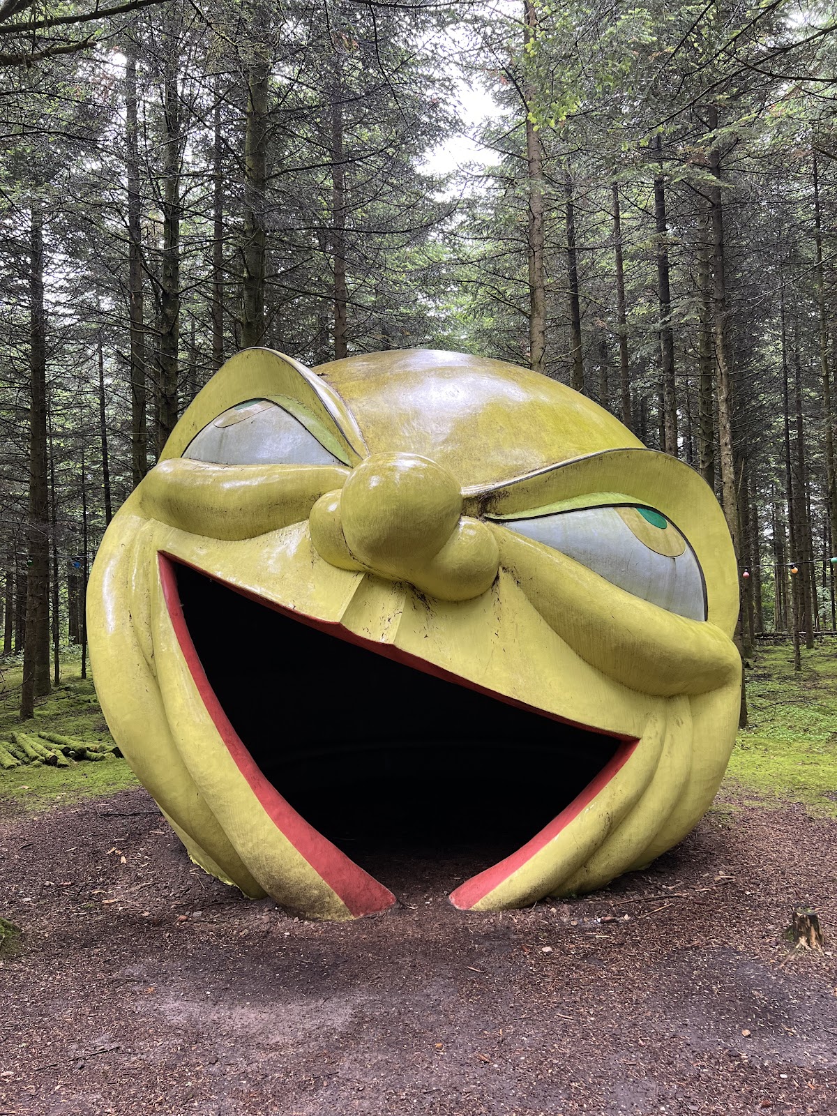 Bild 6 von Deep Forest Art Land