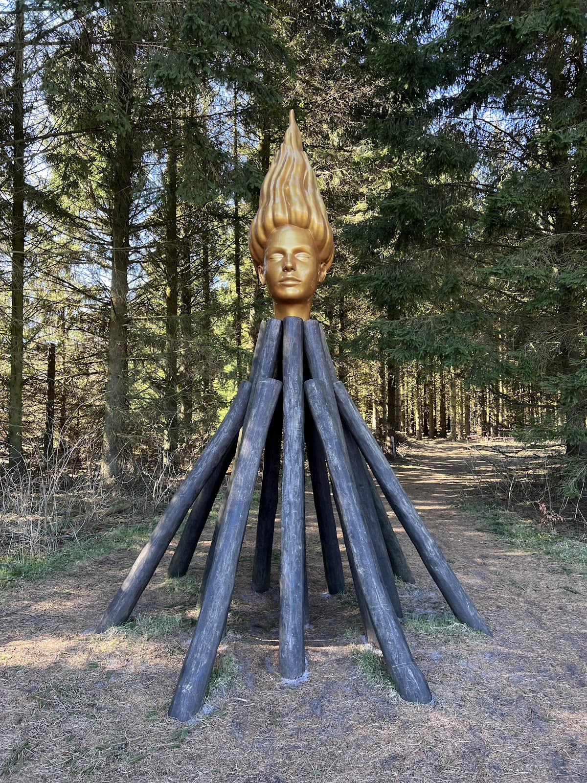 Bild 7 von Deep Forest Art Land