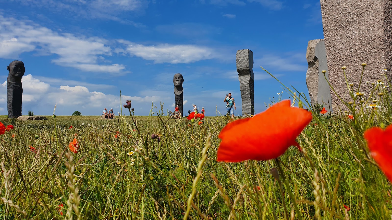 Bild 2 von Dodekalitten