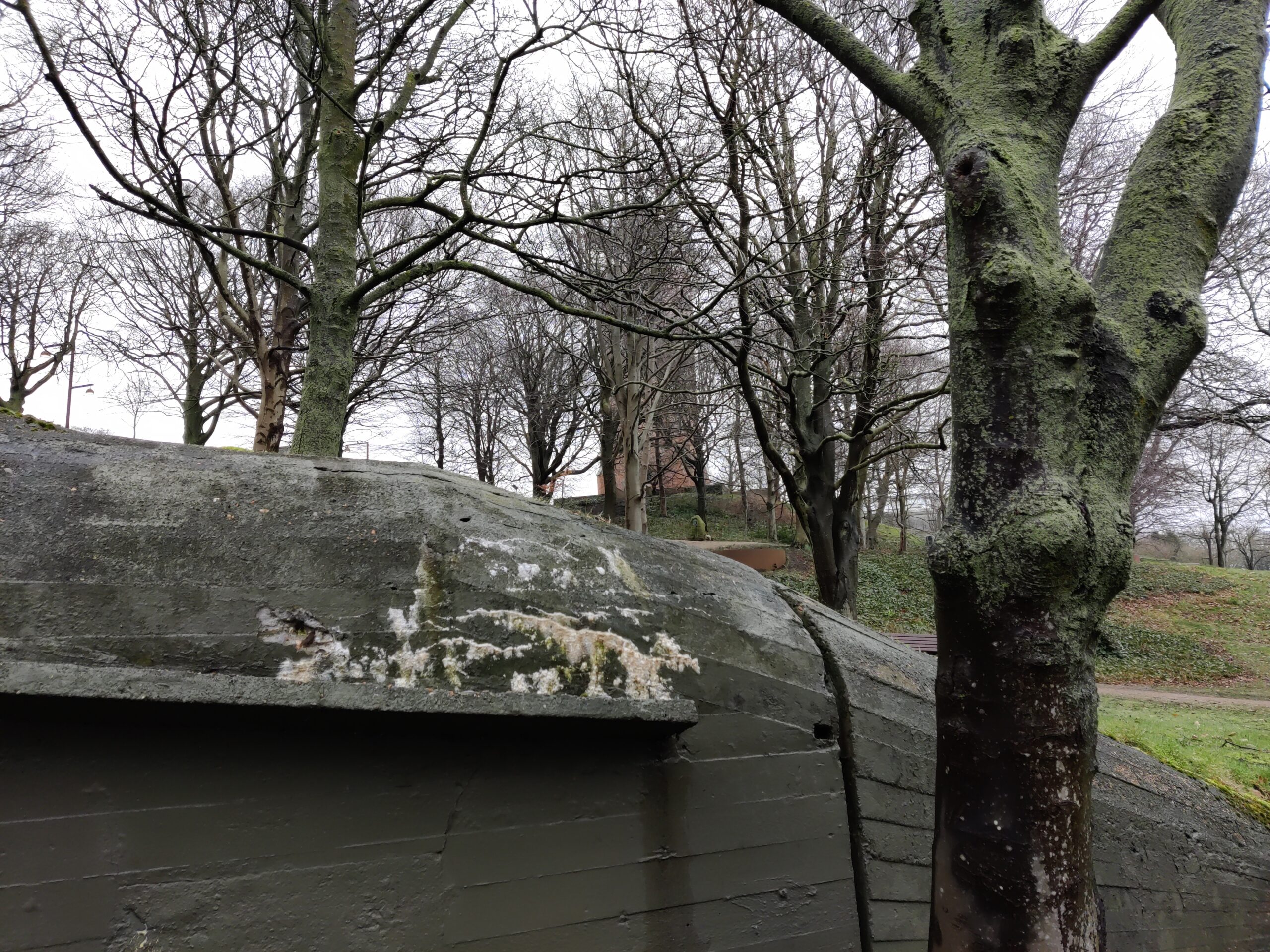 Bild 14 von Esbjerg Bypark