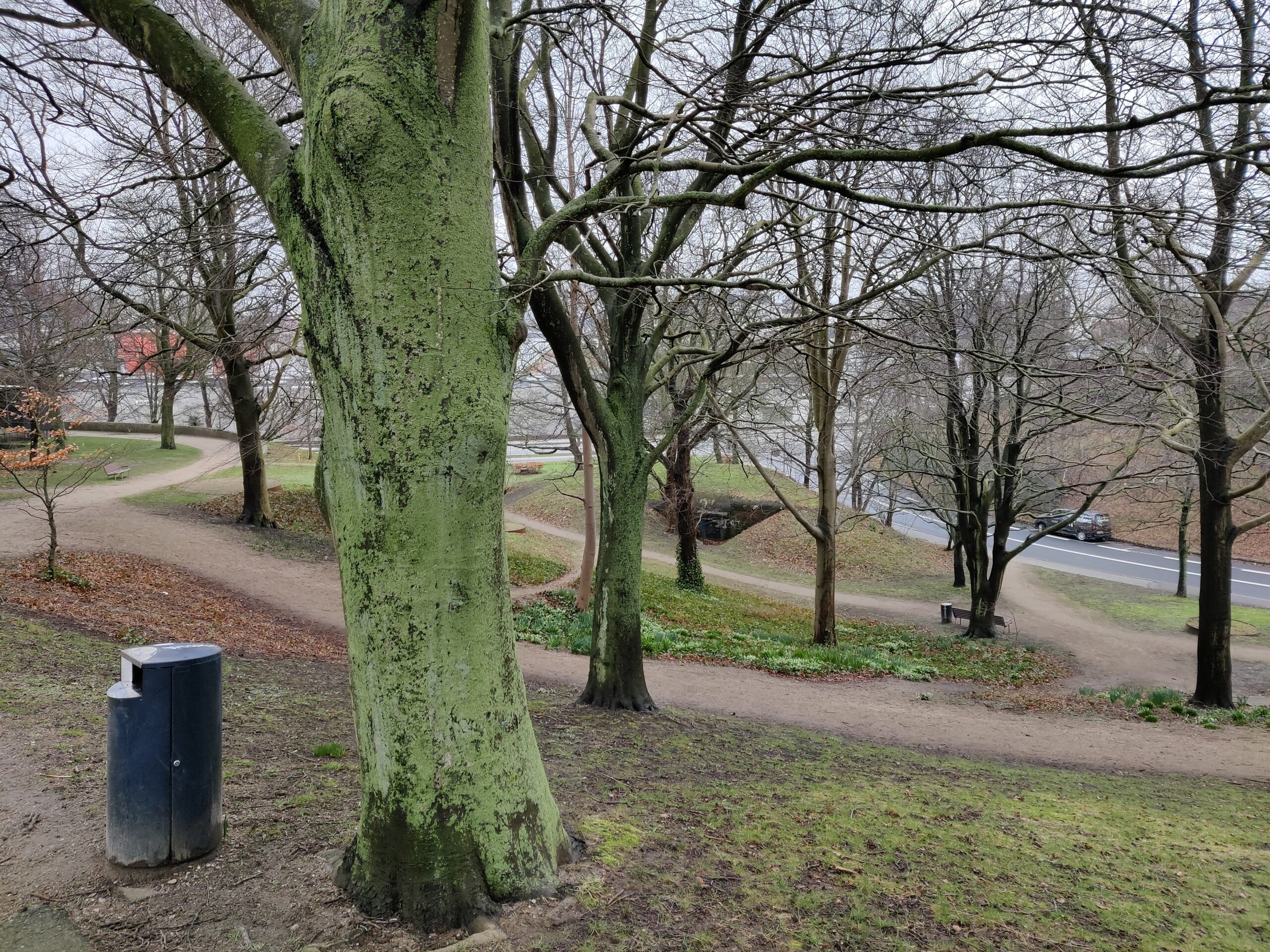 Bild 12 von Esbjerg Bypark