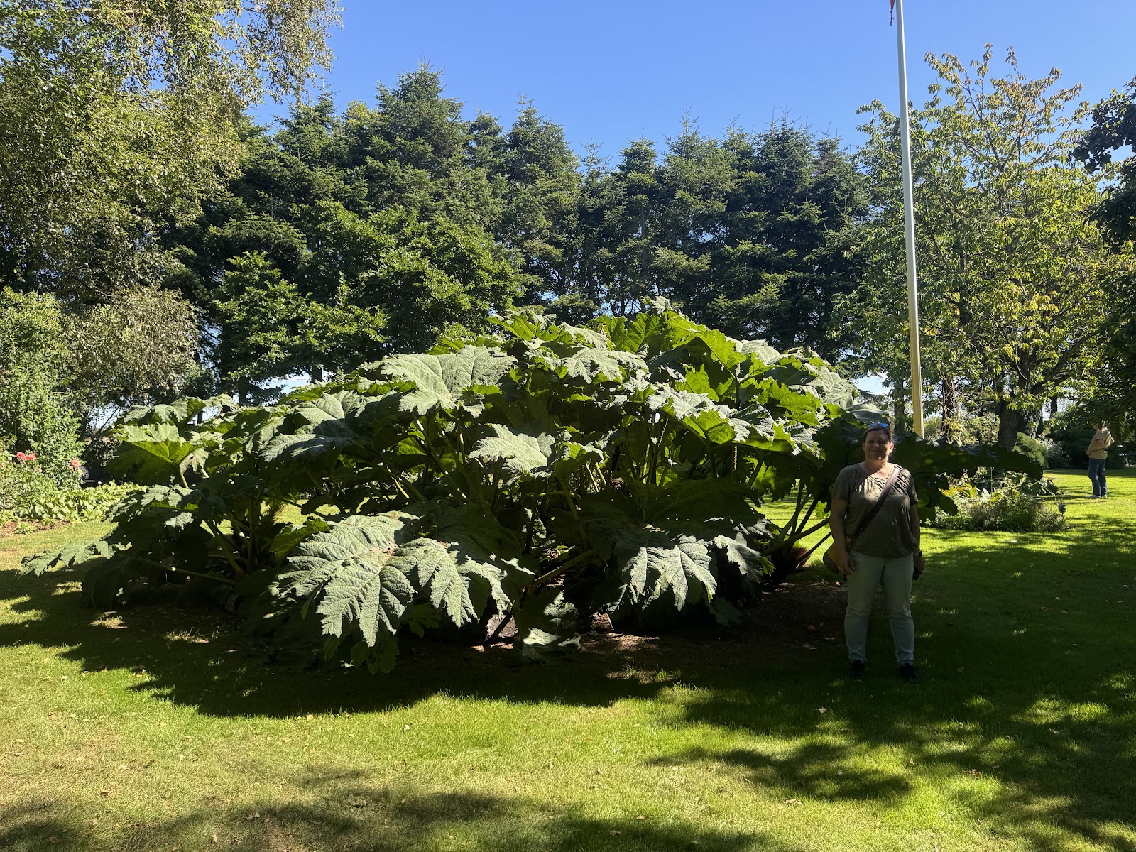 Bild 2 von Fru Pedersens Have – Besuchergarten