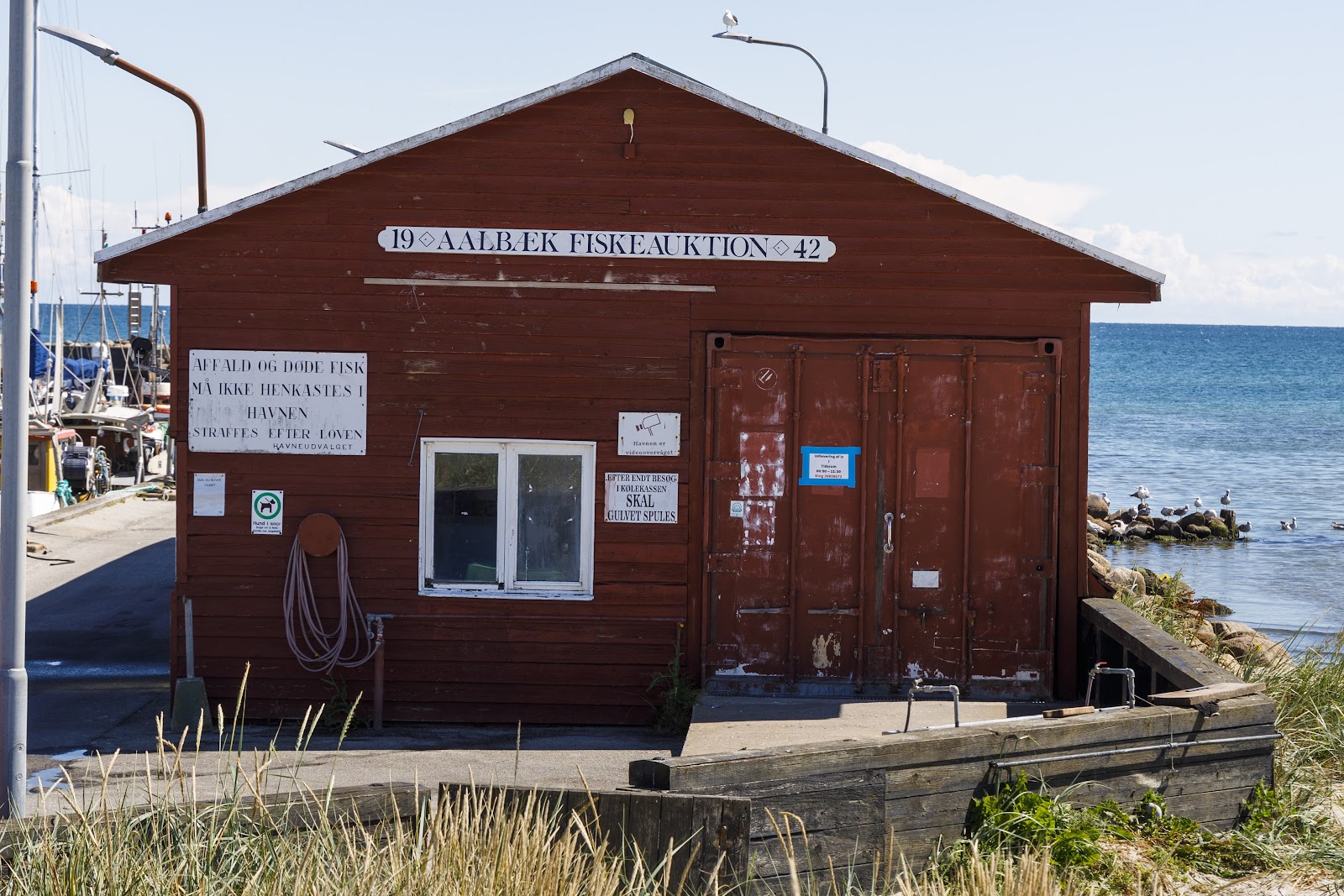 Bild 6 von Hafen Aalbæk