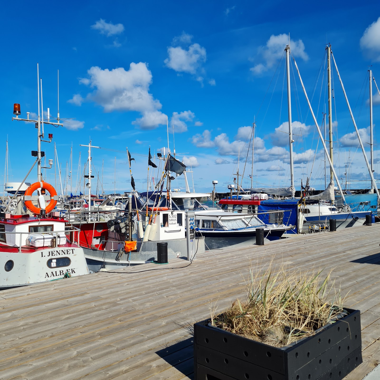 Hafen Aalbæk - Sehenswürdigkeit in Nordjütland (Ostsee), Dänemark