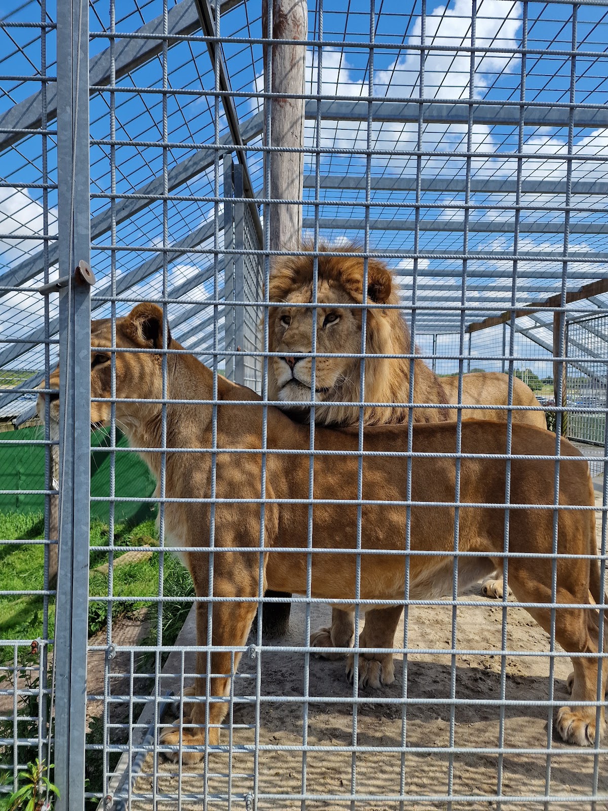 Bild 3 von Jyllands Park Zoo