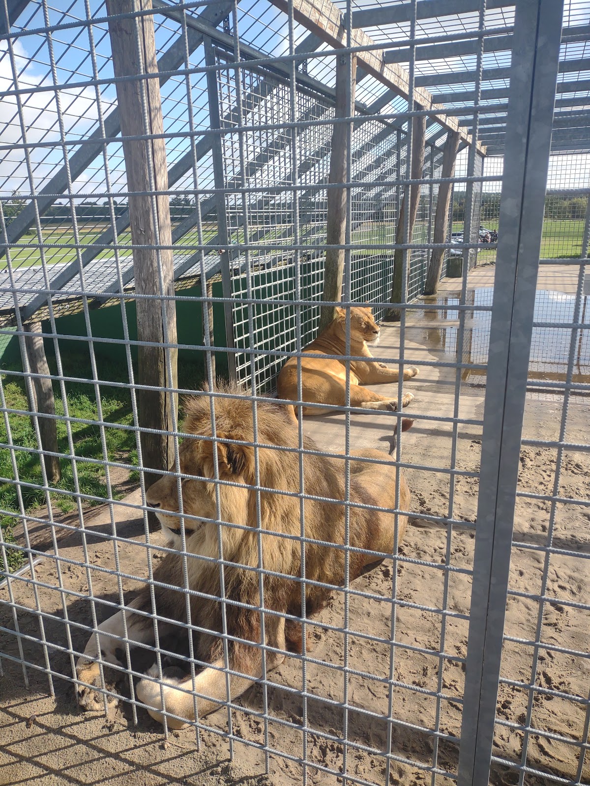 Bild 8 von Jyllands Park Zoo