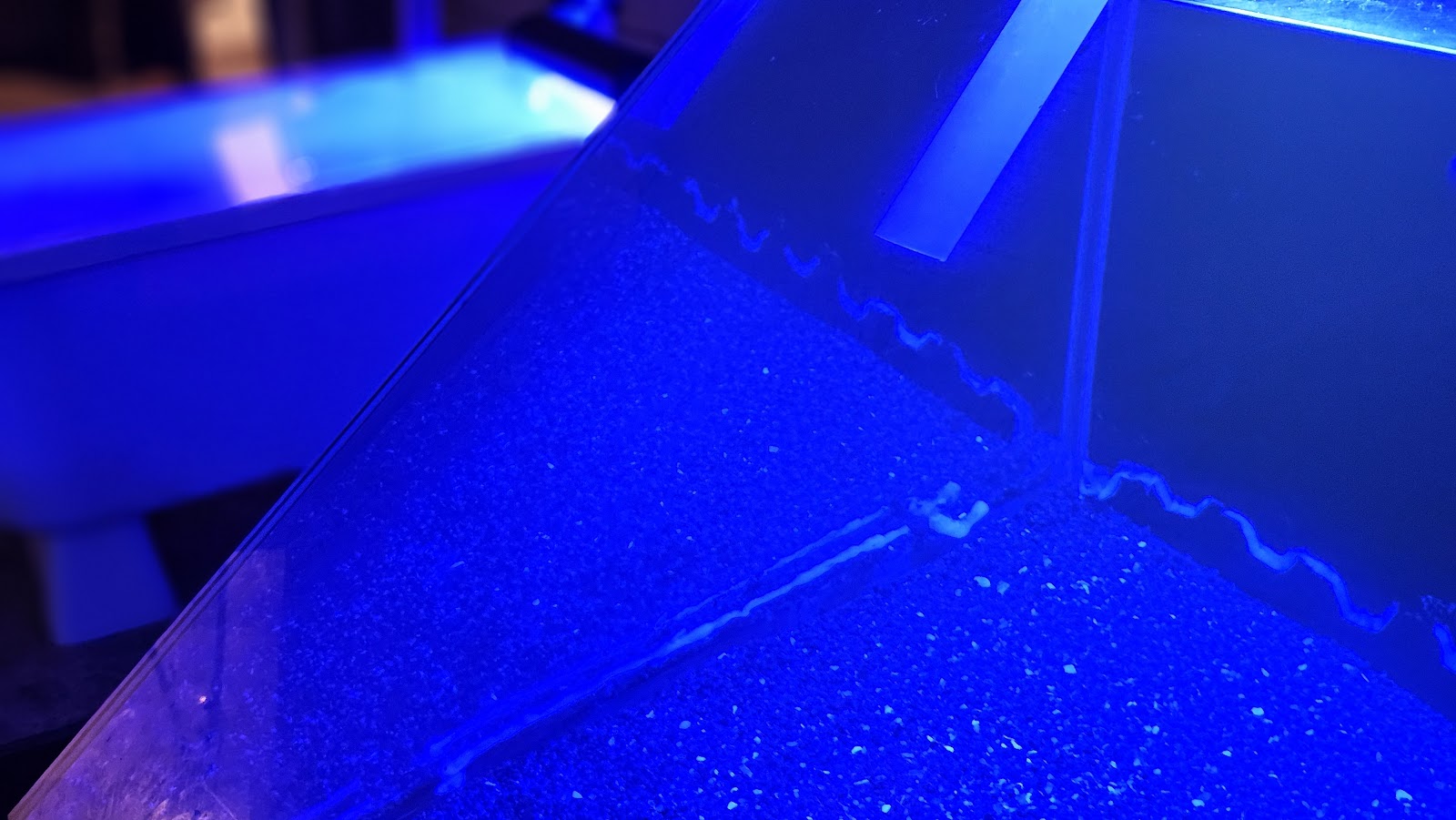 Bild 2 von Jyllandsakvariet Hvide Sande