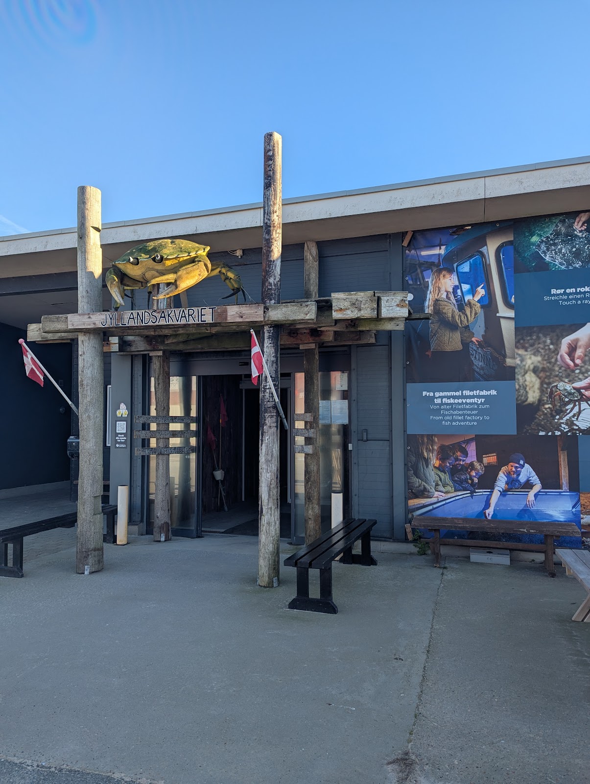 Bild 5 von Jyllandsakvariet Hvide Sande