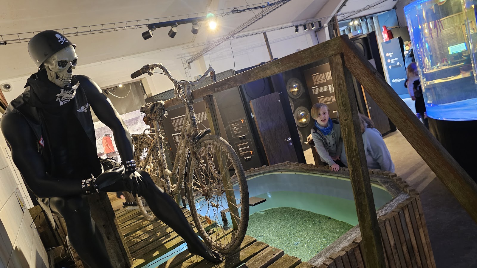 Bild 7 von Jyllandsakvariet Hvide Sande