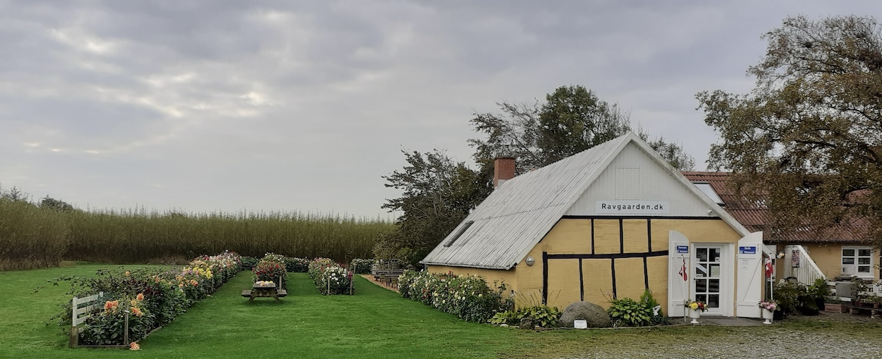 Ravgården Bernsteinmuseum