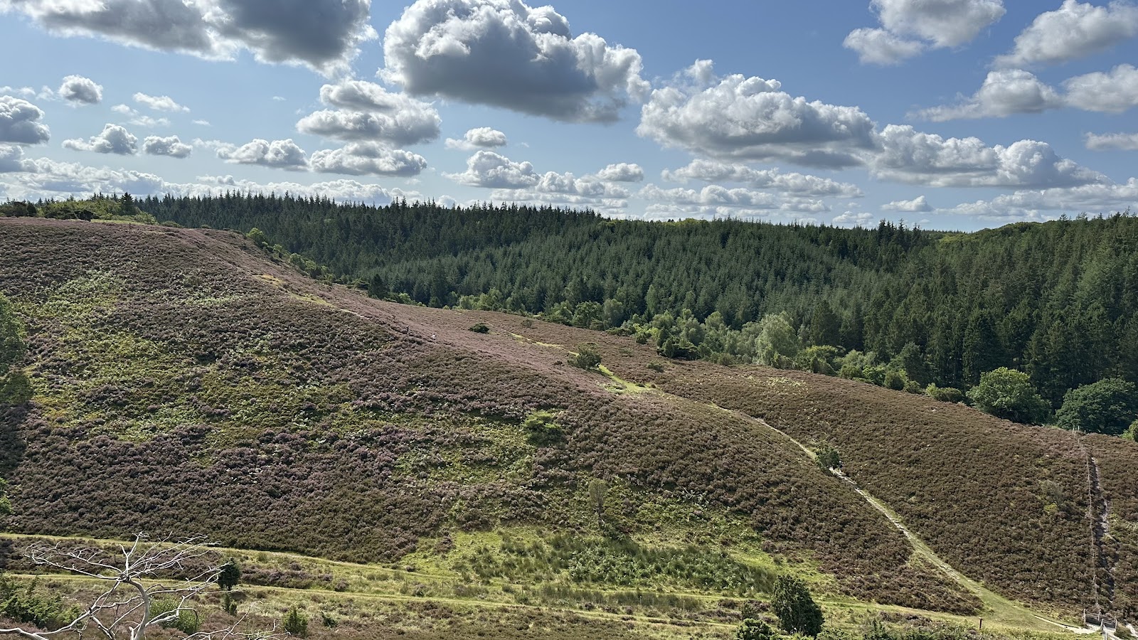 Bild 2 von RebildPorten