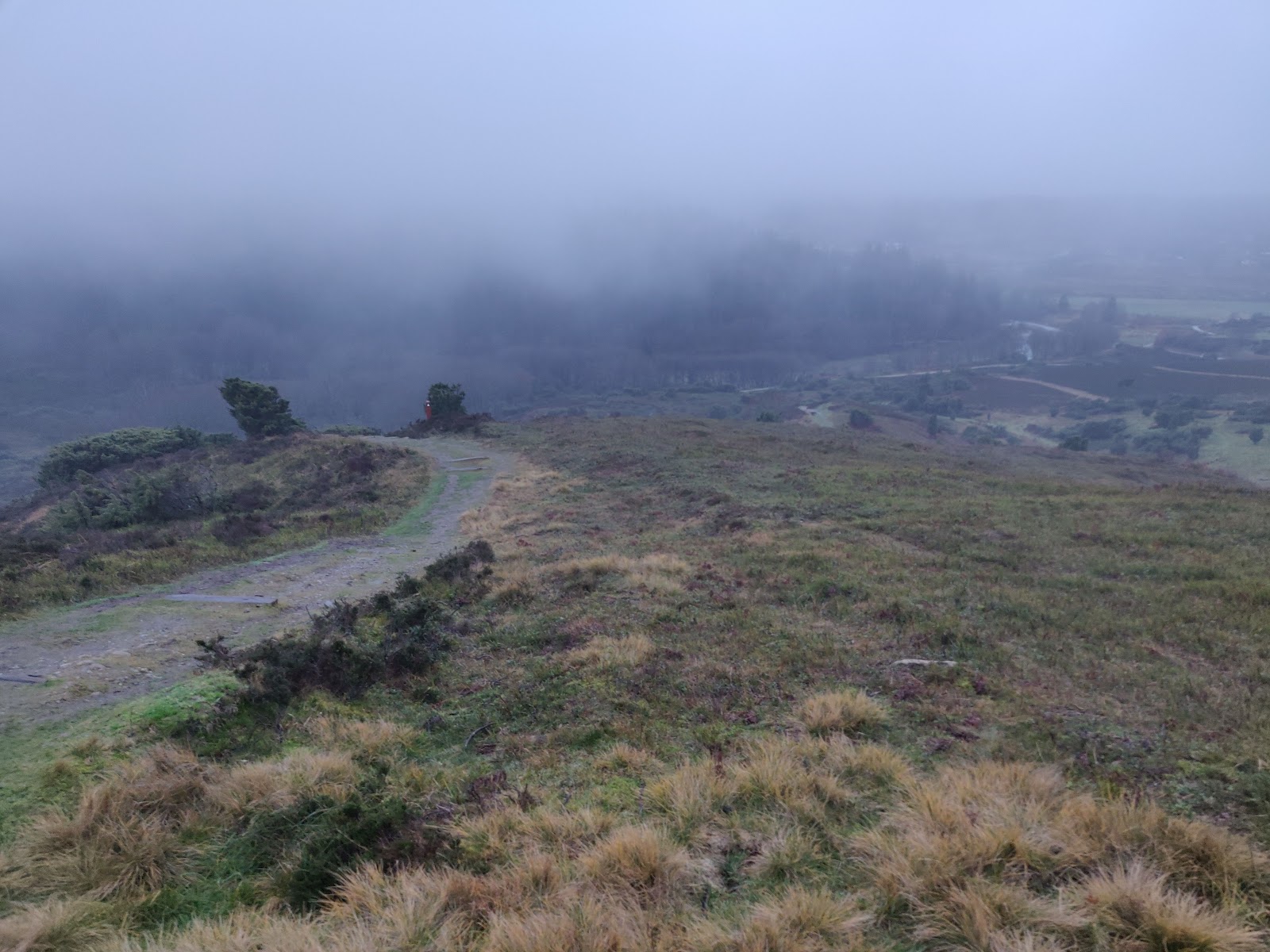 Bild 4 von RebildPorten