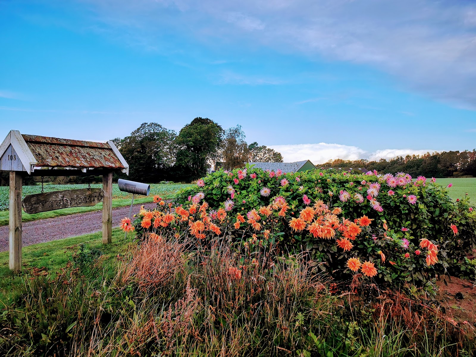 Bild 5 von Sæby Golfklub