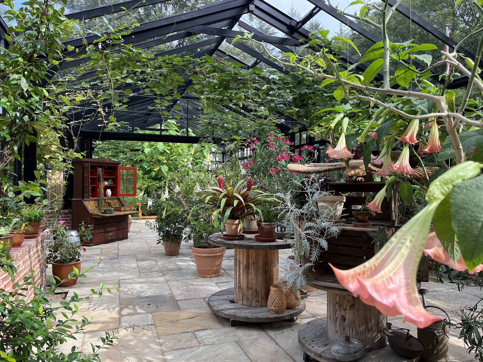 Bild 4 von Tambours Have