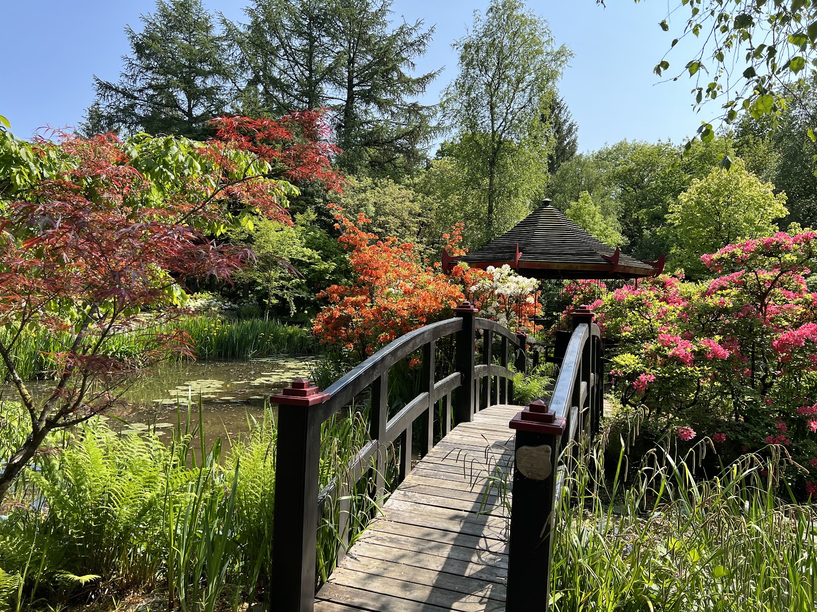 Bild 5 von Tambours Have