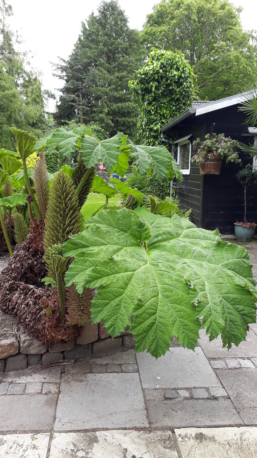 Bild 7 von Tambours Have