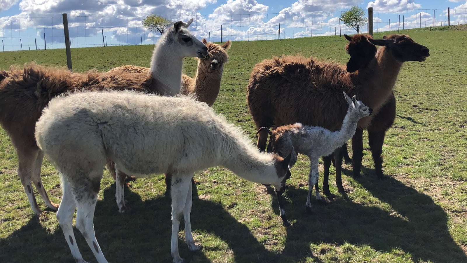 Tierpark Klokkerholm