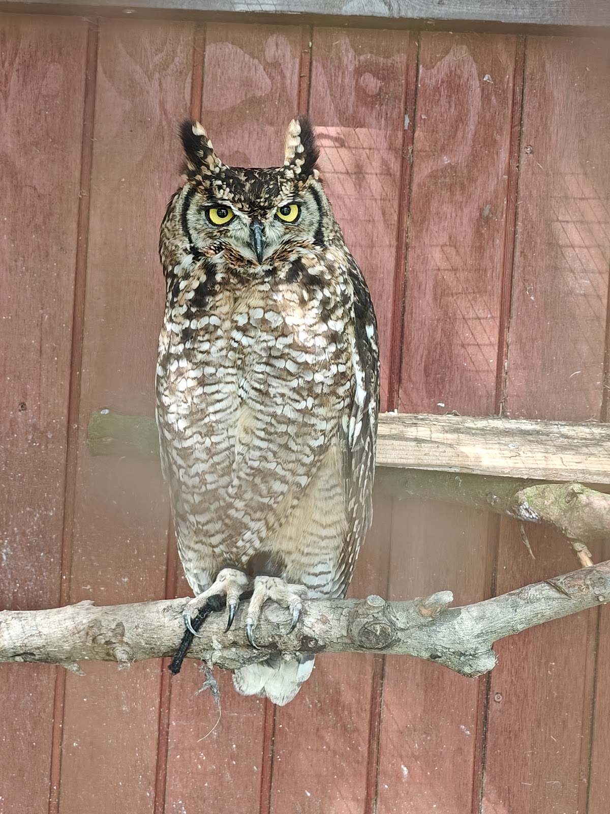 Bild 3 von Tierpark Klokkerholm