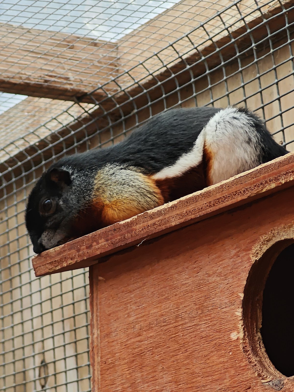 Bild 6 von Tierpark Klokkerholm