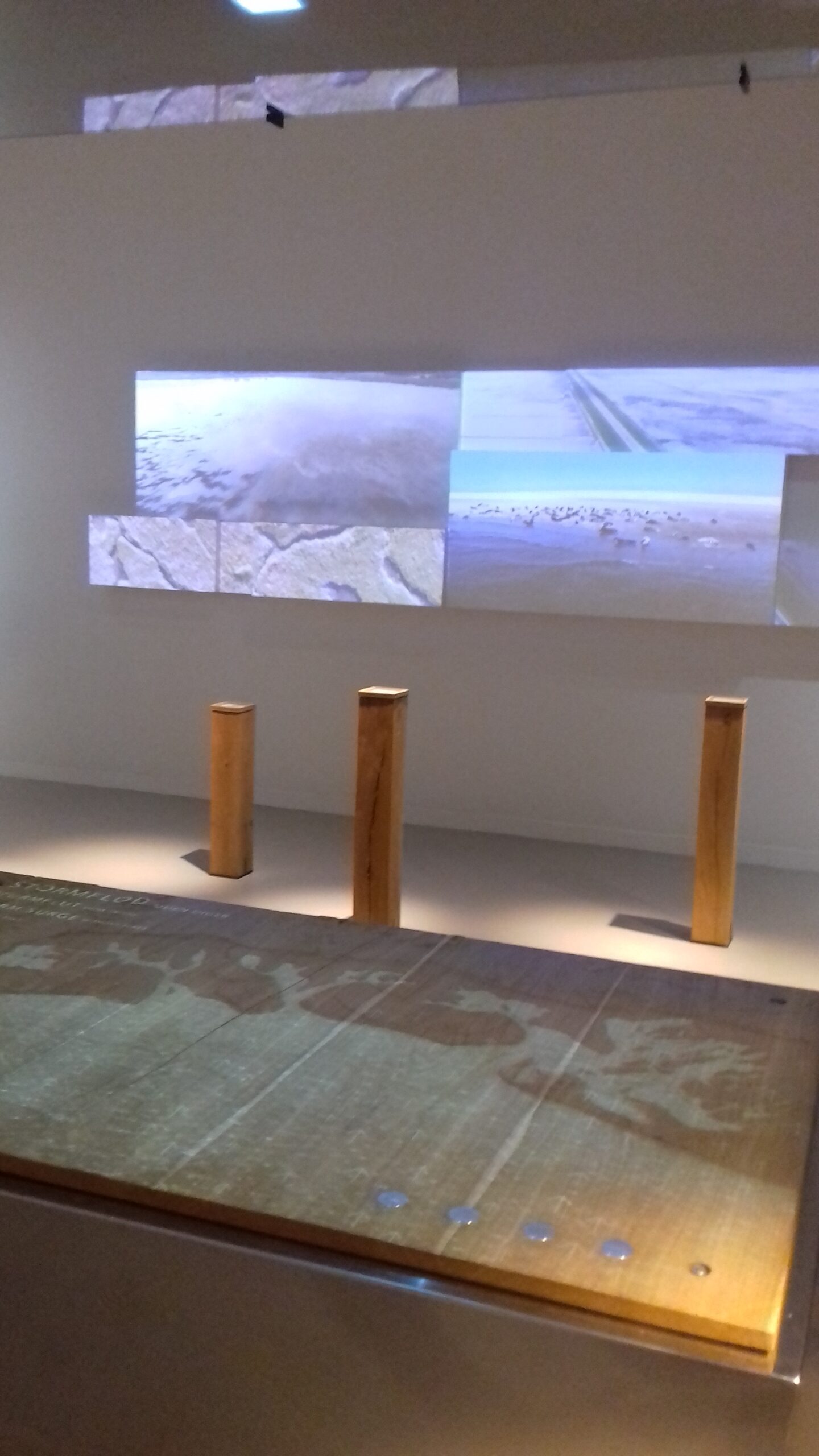 Bild 10 von Vadehavscentret