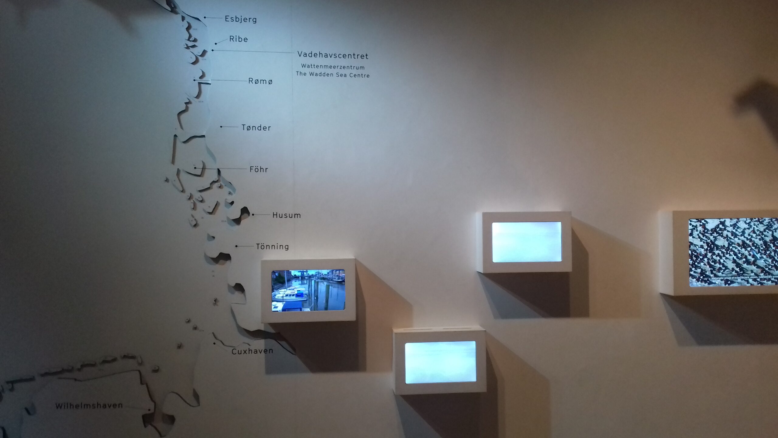 Bild 9 von Vadehavscentret