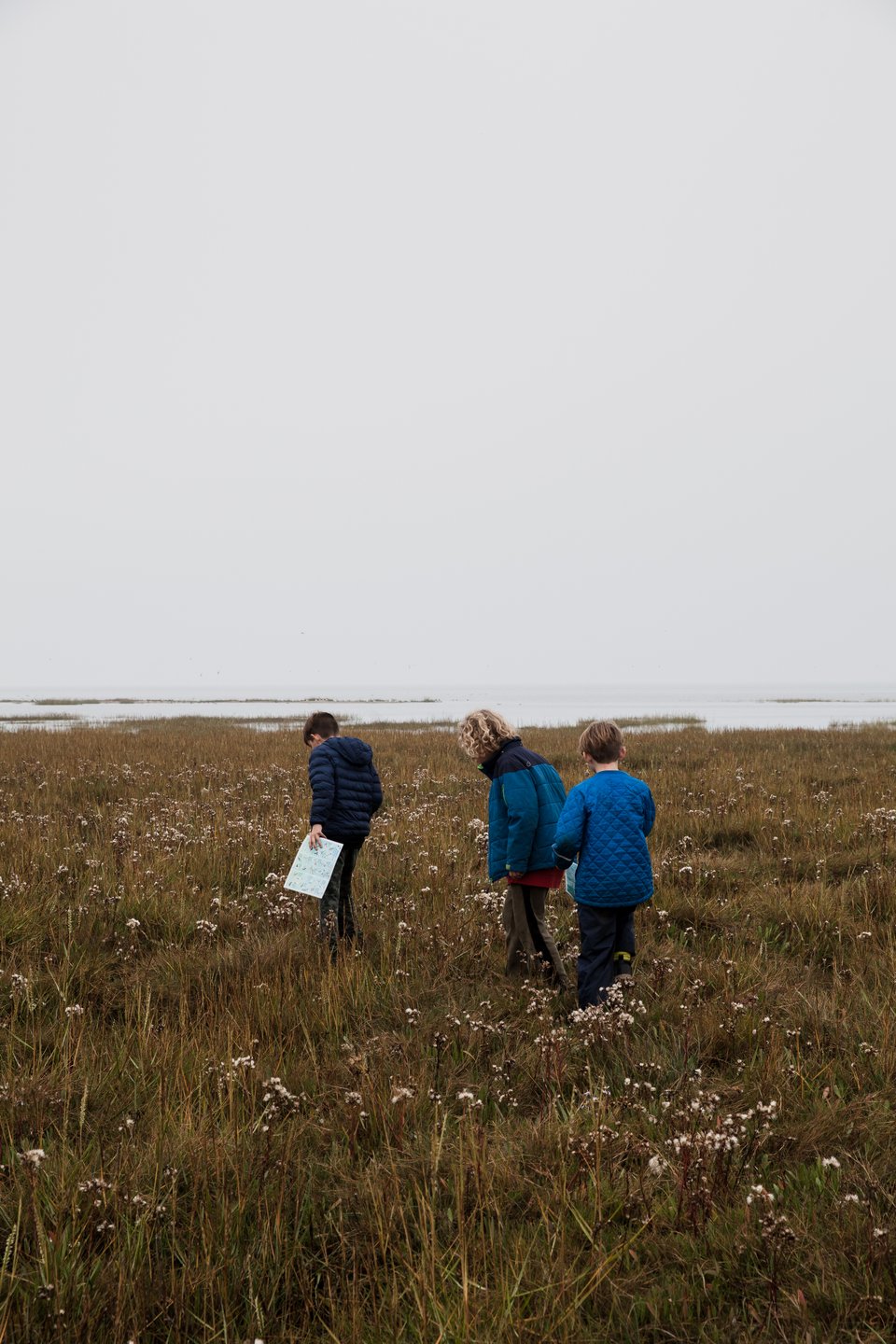 Bild 5 von Vadehavscentret