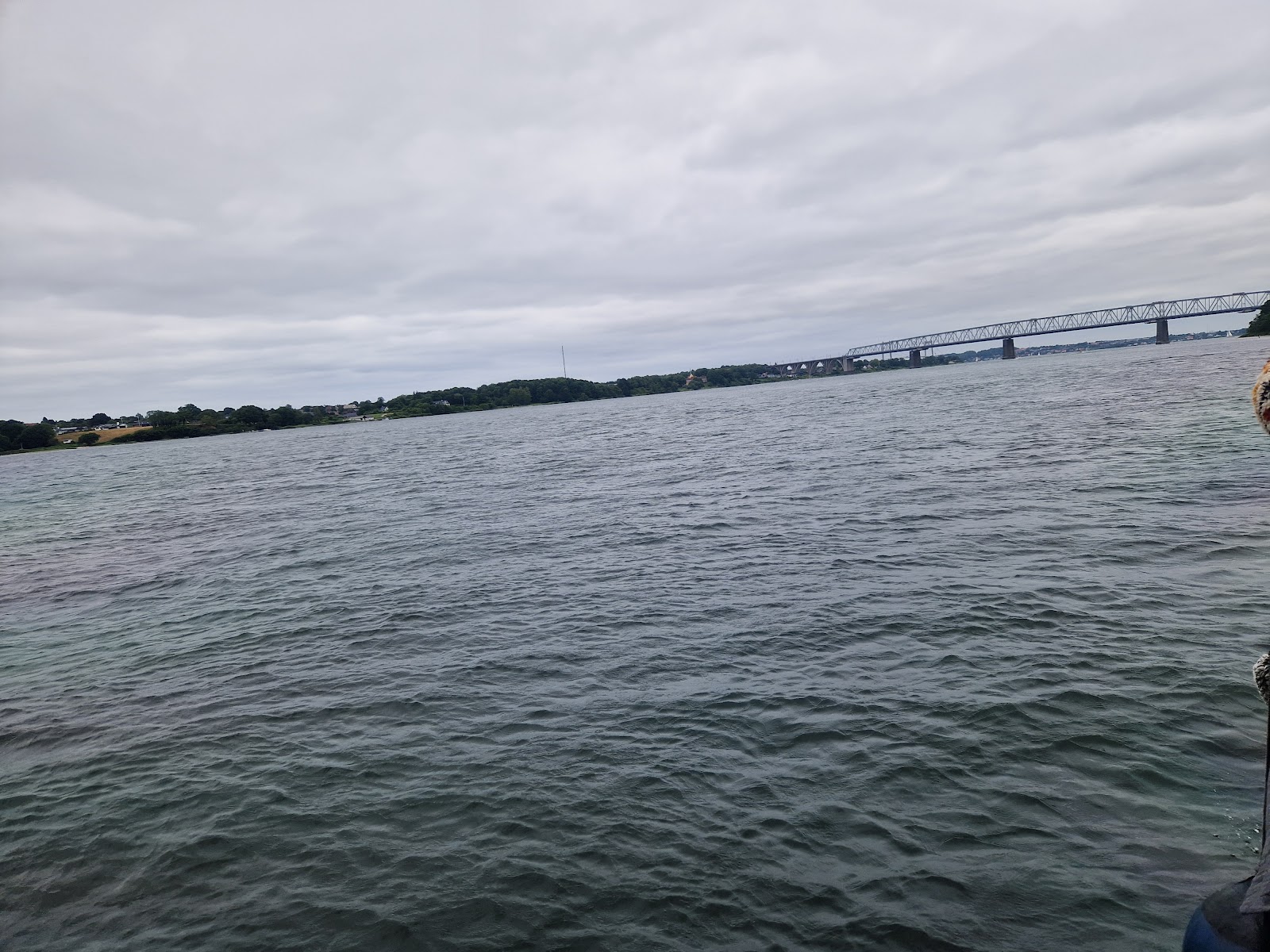 Bild 3 von Walsafari Mira 3