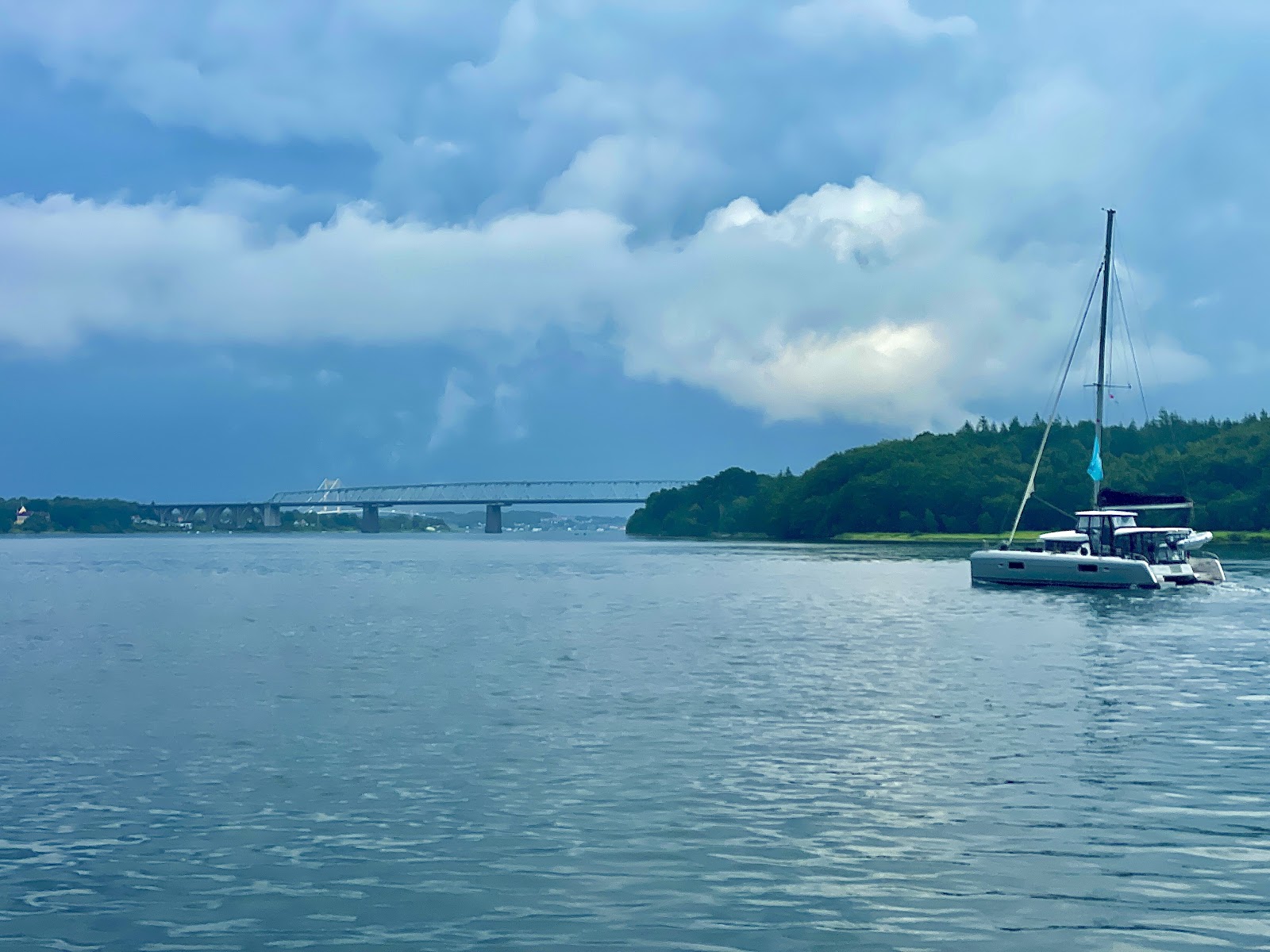 Bild 4 von Walsafari Mira 3