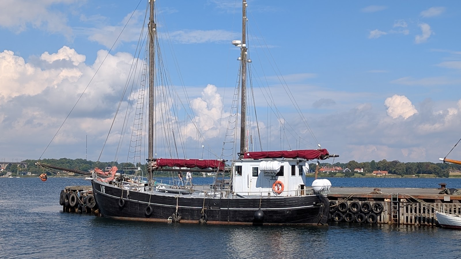 Bild 5 von Walsafari Mira 3