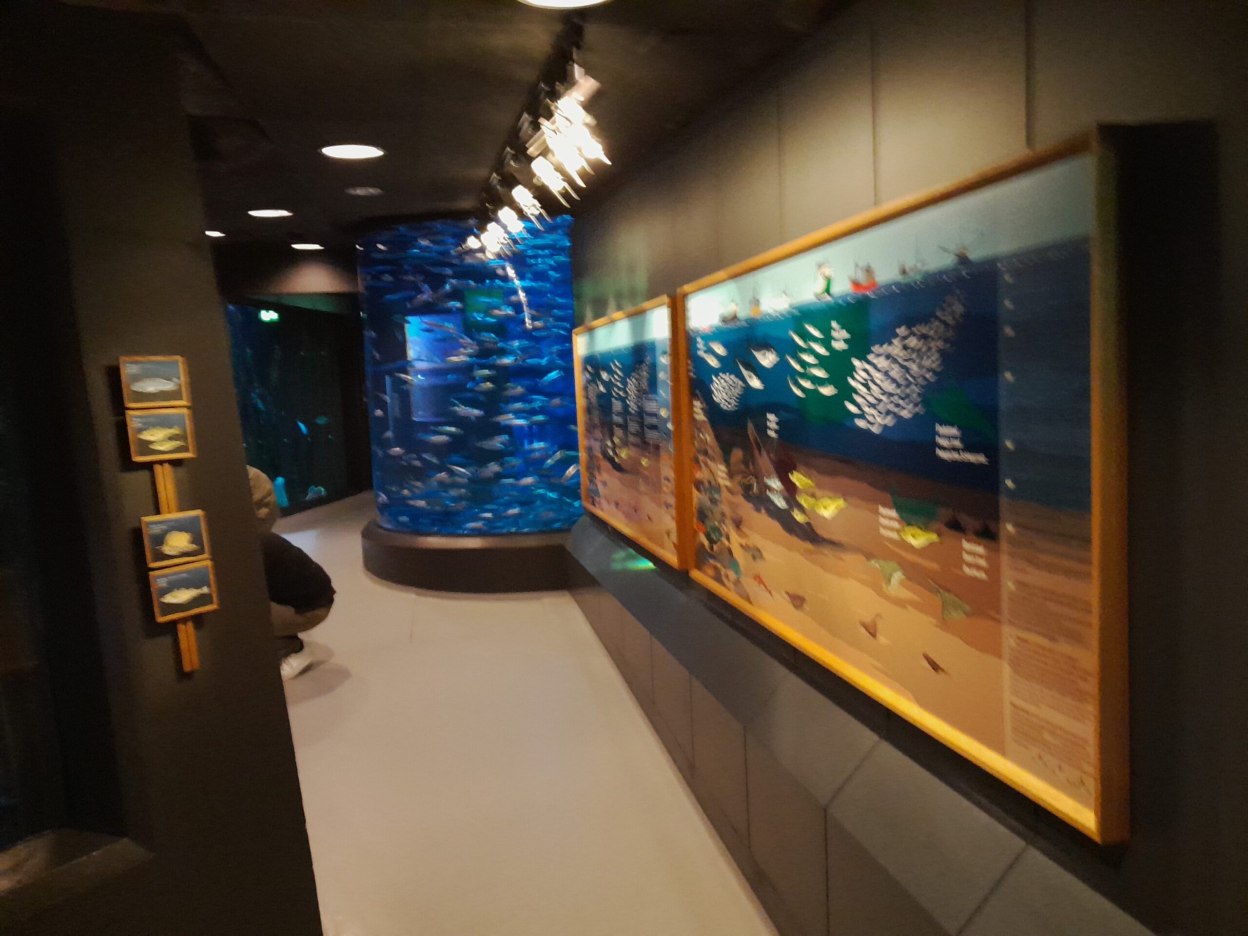 Bild 9 von Fiskeri- og Søfartsmuseet